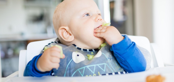 Guía de snacks para bebés