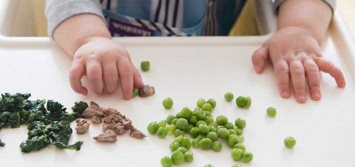 Sabores y texturas bebés