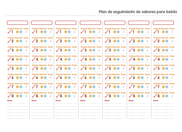 Infografía 2 plan seguimiento sabores - alimentación bebé