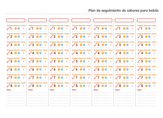 Infografía 2 plan seguimiento sabores - alimentación bebé