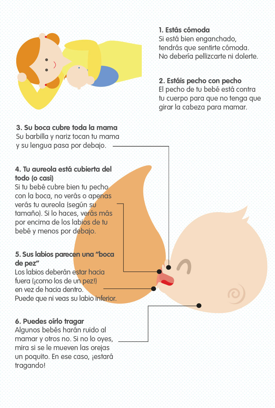 Agarre del bebé al pezón | Nestlé Bebé