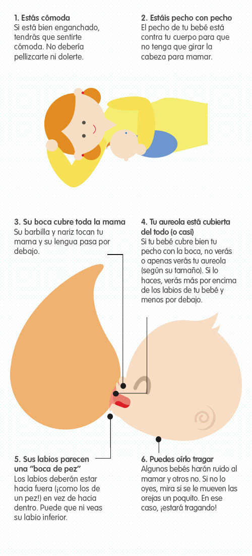 Cómo hacer que agarre el pecho mi bebé, infografía