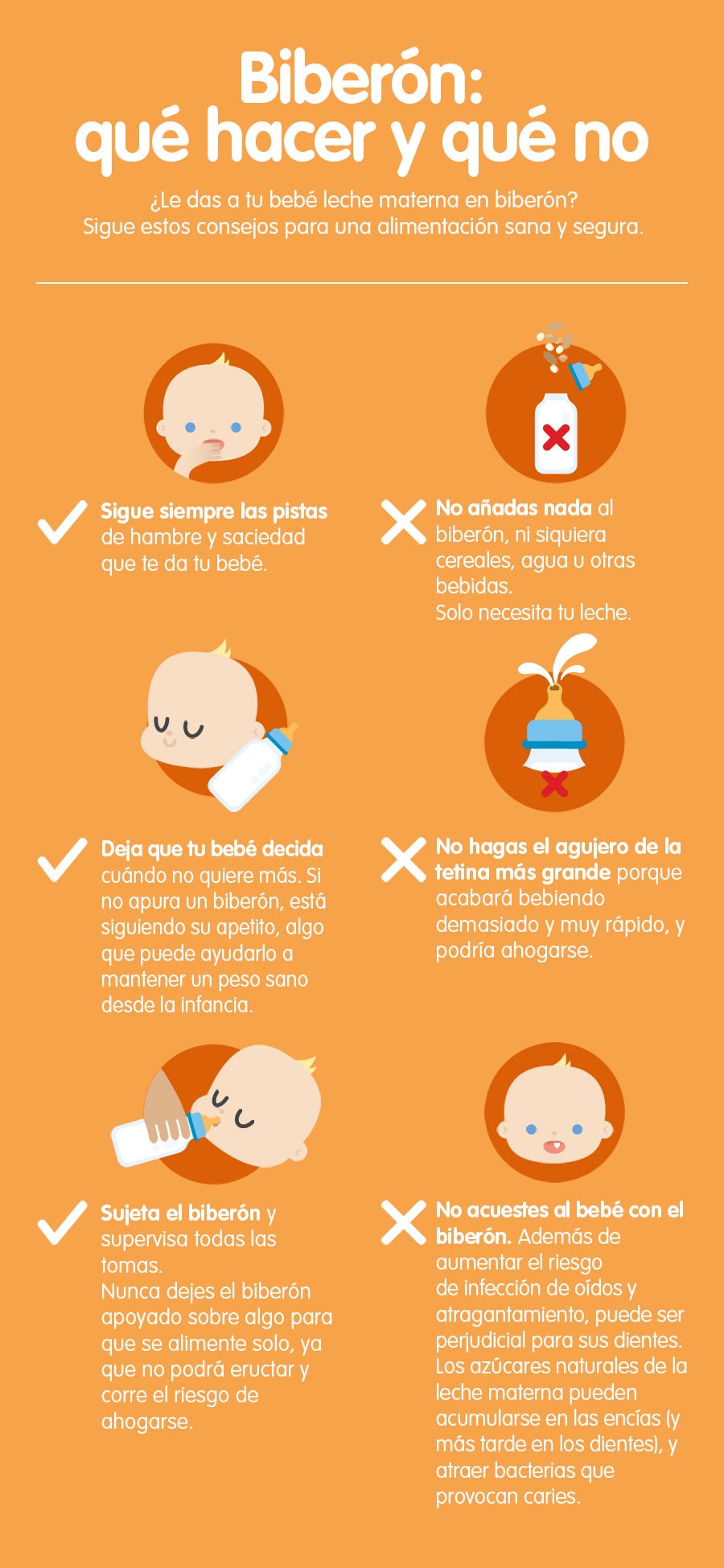 Alimentación bebé 0 a 6 meses, infografía