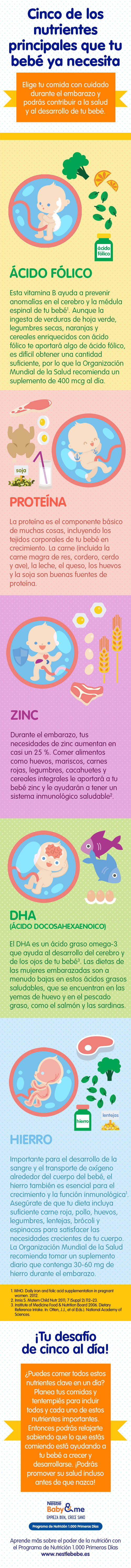 Qué nutrientes debe consumir una mujer embarazada, infografía