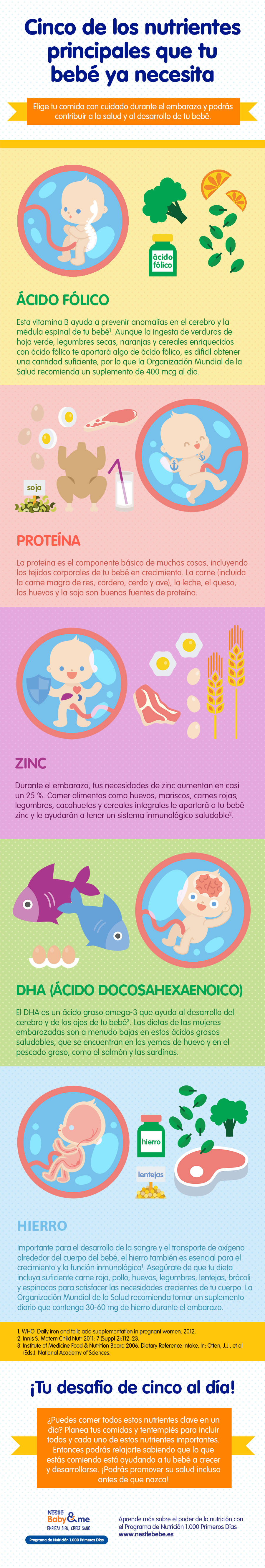 Qué nutrientes debe consumir una mujer embarazada, infografía