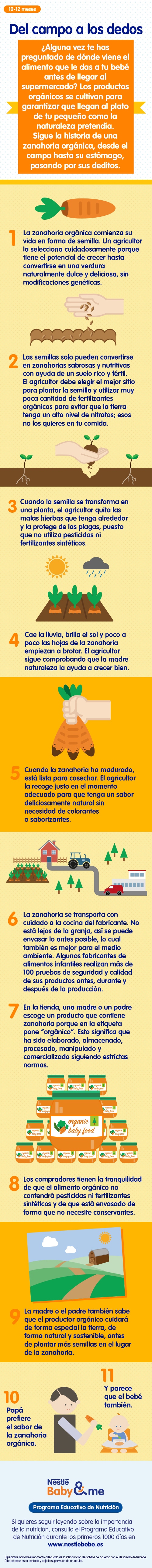 Comida orgánica y alimentación infantil, infografía