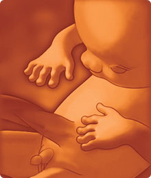 Desarrollo de feto a 11 semanas de embarazo