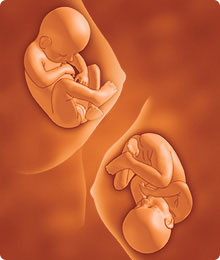 Desarrollo del feto a 34 semanas de embarazo
