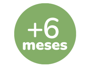 Green circular badge graphic with white "+6 meses" text