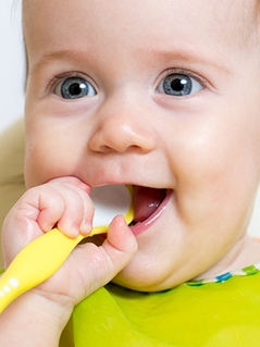 Alimentacion del bebe Alimentacion del bebe