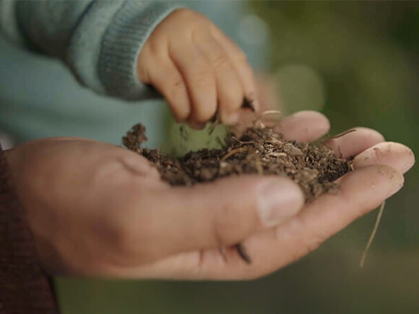 NAN Sustainability NAN Sustainability