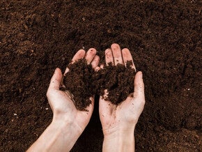 Fertilización de precisión