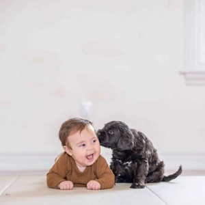 Niños y animaless