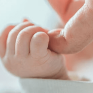 Política de reembolso Leches 2 