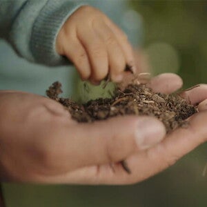 NAN Sustainability NAN Sustainability