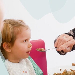 Así nació Comidas llenas de vida Así nació comidas llenas de vida