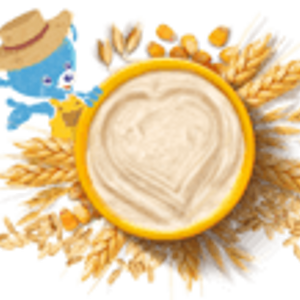 Recetas papillas