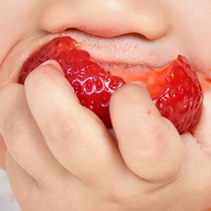 alimentación_:complementaria_autorregulada_1440x420.jpg