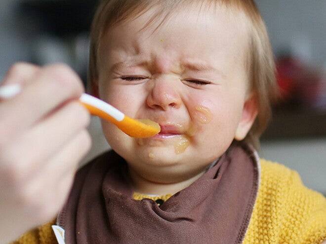 ayudar_niño_quisquilloso_comida_1440x420.jpg