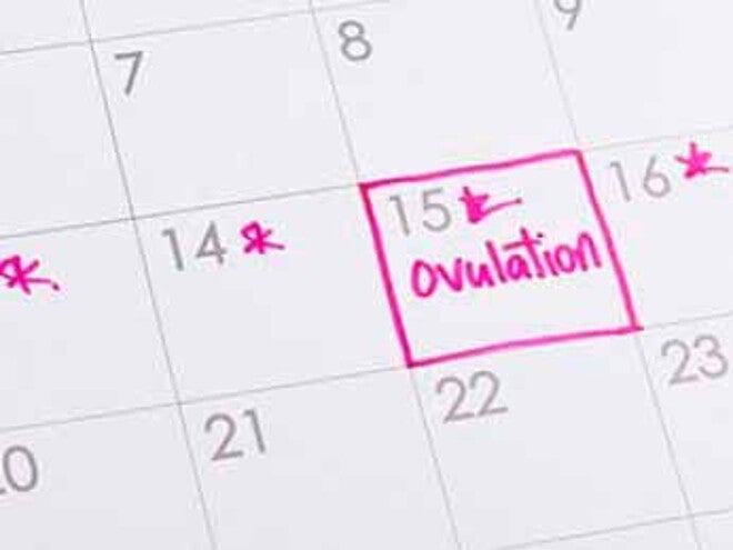 ¿Podemos tener la menstruación sin ovular? ¿Podemos tener la menstruación sin ovular?
