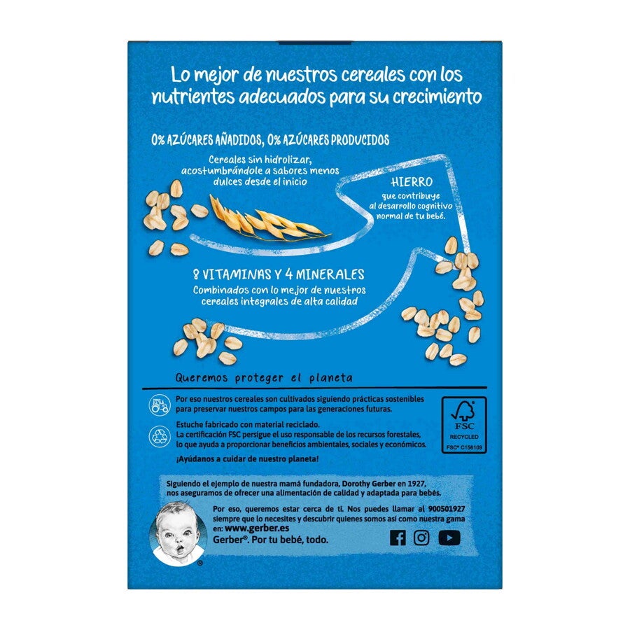 Papilla multicereales fruta 