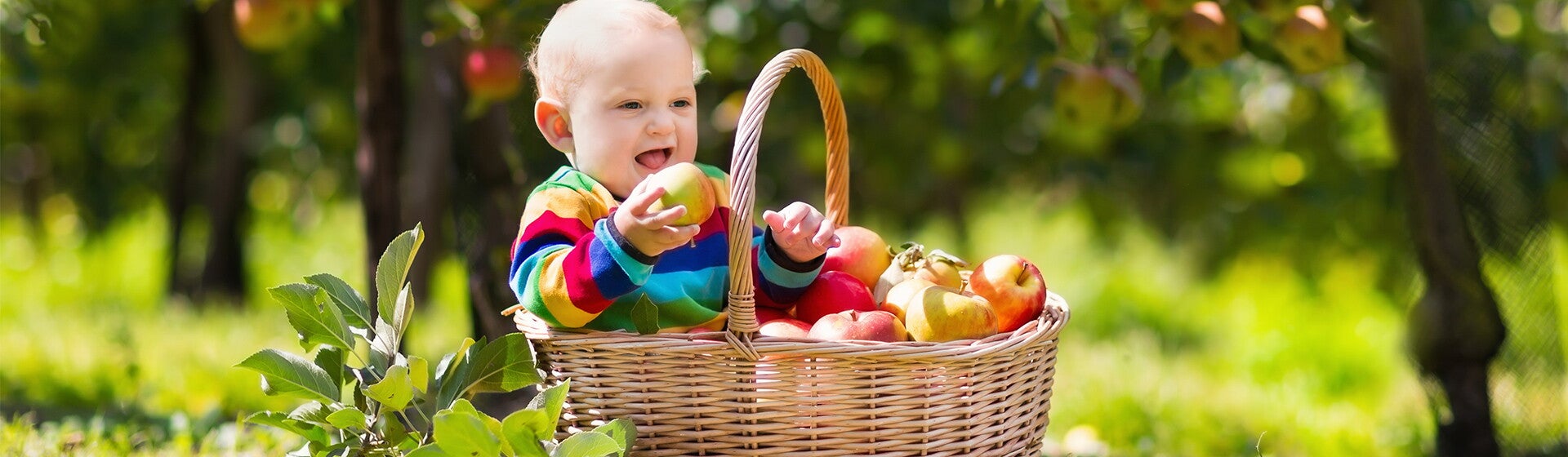 Alimentación Infantil BIO Alimentación Infantil BIO