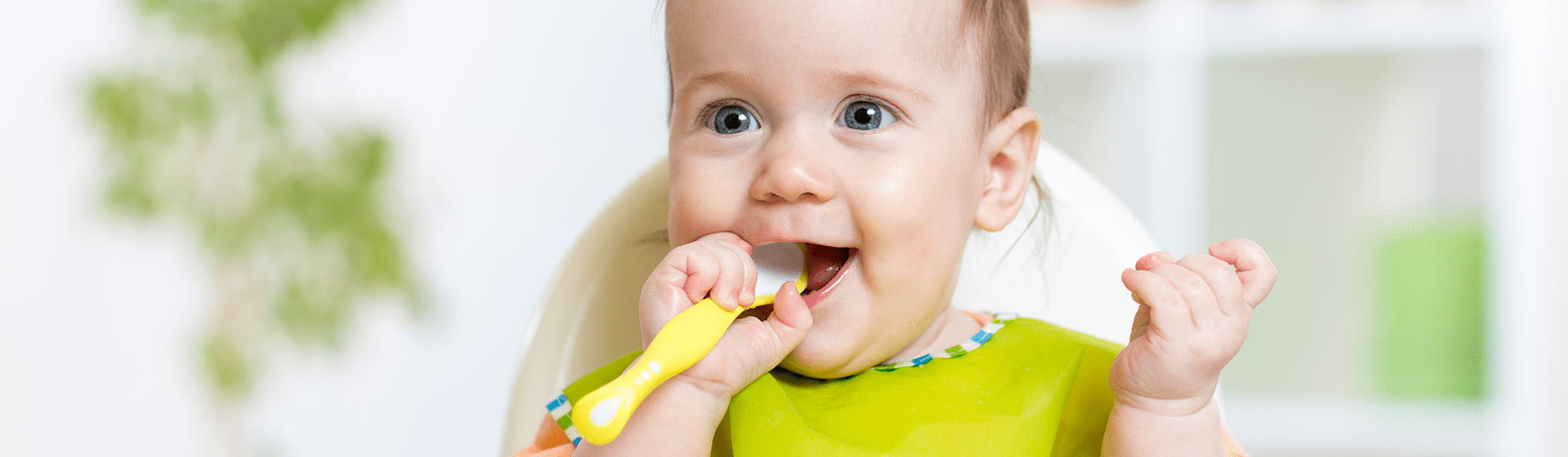 Alimentacion del bebe Alimentacion del bebe