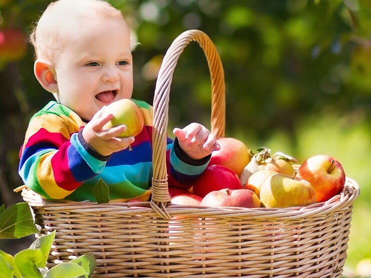 Alimentación Infantil BIO