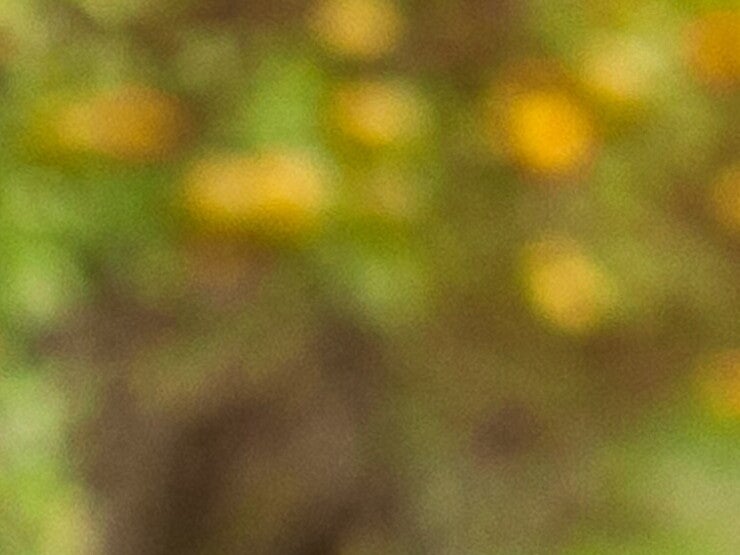 Cabecera_1920x560 " "
