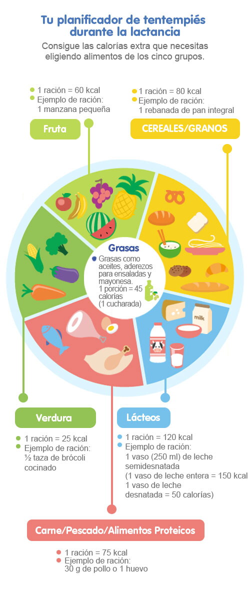 Alimentación durante la lactancia materna, infografía Alimentación durante la lactancia materna, infografía