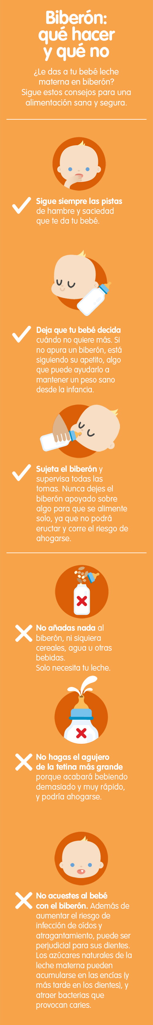 Bibéron Bibéron