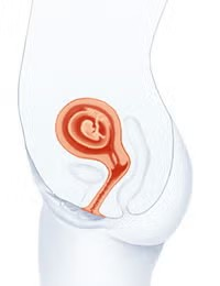 Cambios en el cuerpo