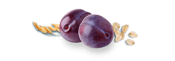 s GERBER ExpertCare Avena Integral con Ciruela 