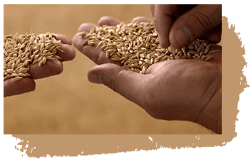 agricultores agricultores