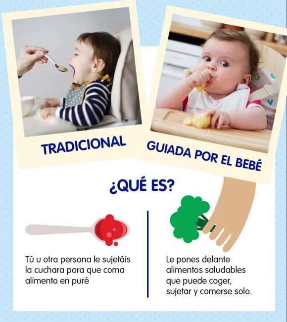 destete tradicional o guiado por el bebé
