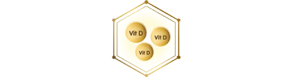 Diagrama que presenta las formas de vitamina D.