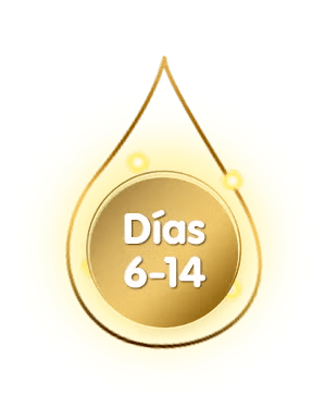 NAN | LECHE DE TRANSICIÓN DÍAS 6-14