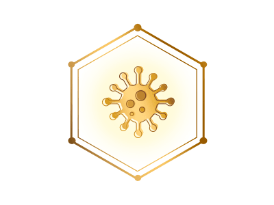 NAN | BACTERIAS AMIGAS