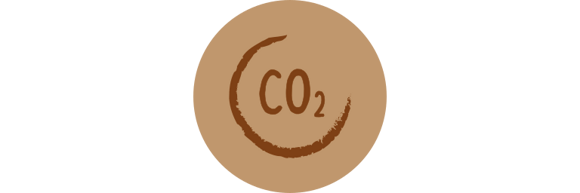Iconos Iconos
