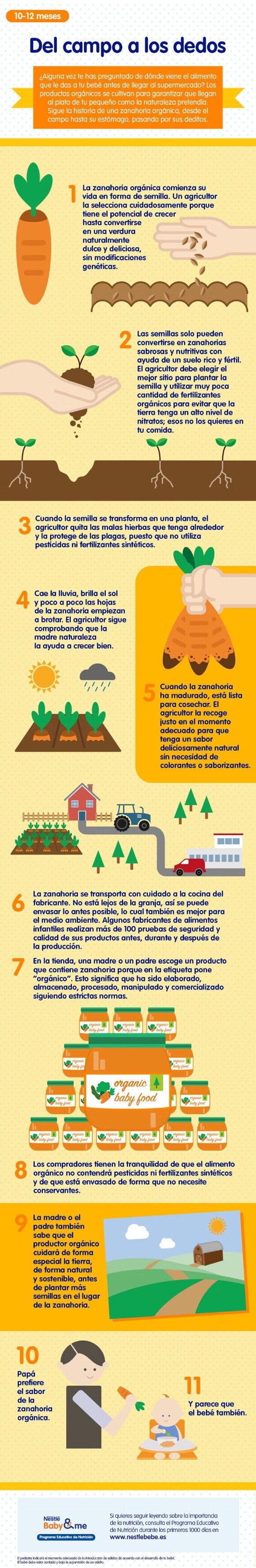 Comida orgánica y alimentación infantil, infografía Comida orgánica y alimentación infantil, infografía