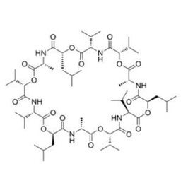 ¿Qué es la cereulida?